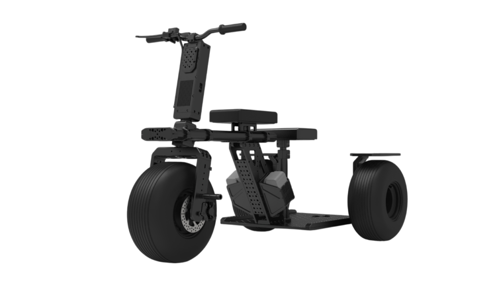 Custom Easy Raptor Trike